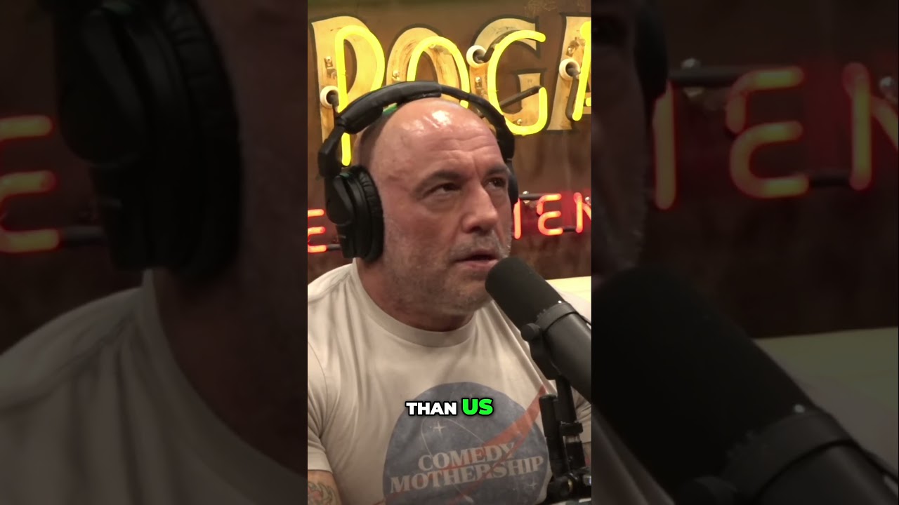 The Mysterious Human Fossil Record: Unveiling Our Ancient Origins 