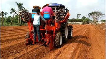 Cassava Planter