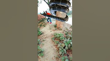Anaconda snake in real life P95#shorts #short #snake #nagin #python #anaconda  #snakes #bigsnakeu