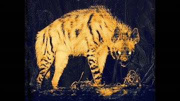 Offish & Forgiven Soul - Eviscerate