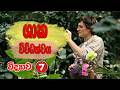 7 විද්‍යාව - ශාක විවිධත්වය (පළමු පාඩම) Grade 7 Science
