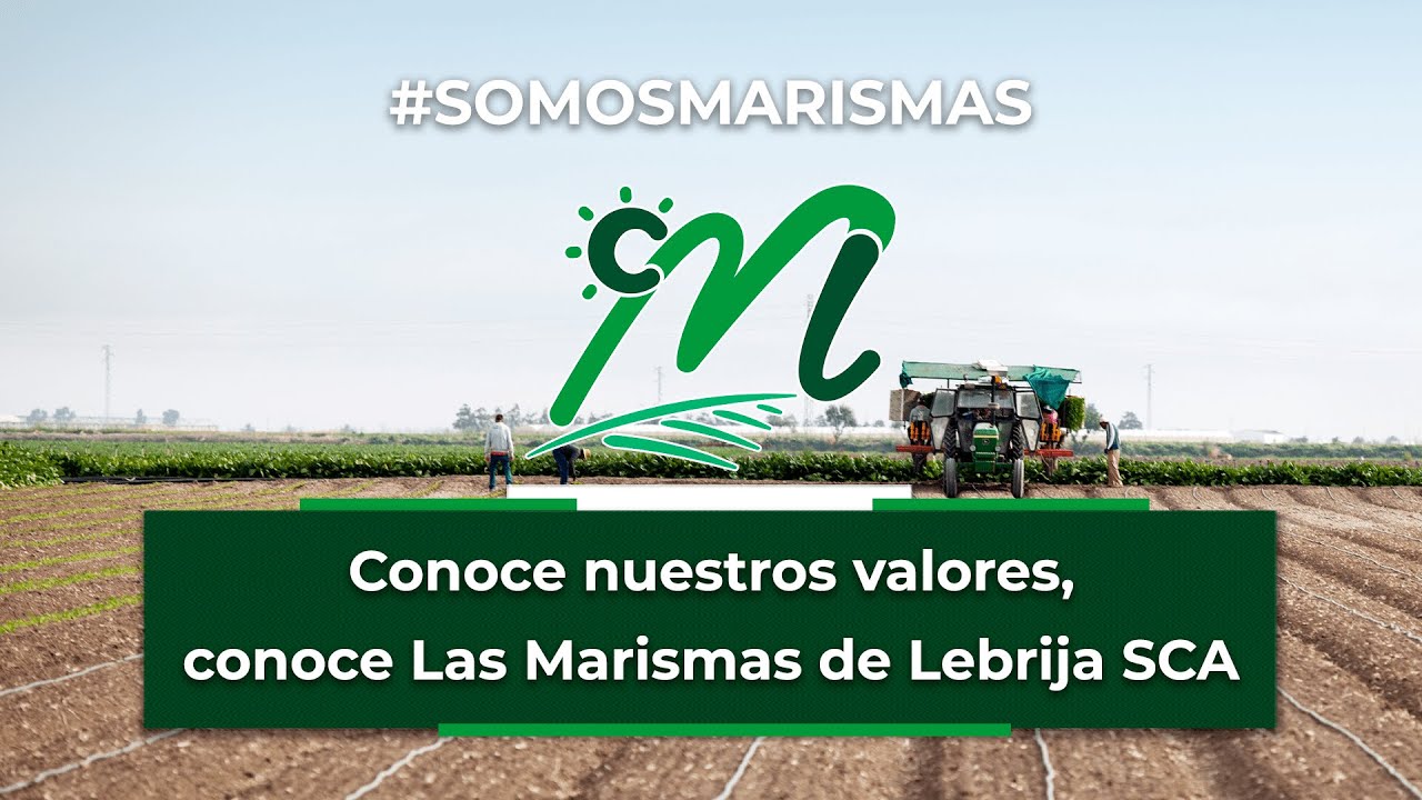 Las Marismas de Lebrija SCA: conoce nuestra cooperativa, conoce nuestros valores