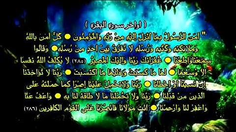 خواتيم سورة البقرة مع فضلها ، الشيخ ياسر الدوسري