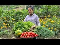 Harvest coriander, onions, lettuce, papaya, and tomatoes to sell at the market