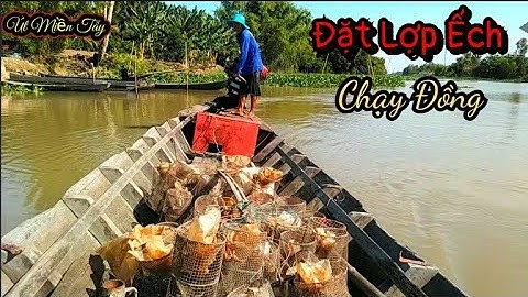Đặt Lợp Ếch Chạy Đồng Gặp Phải Cảnh Này Hết Ham/Út Miền Tây