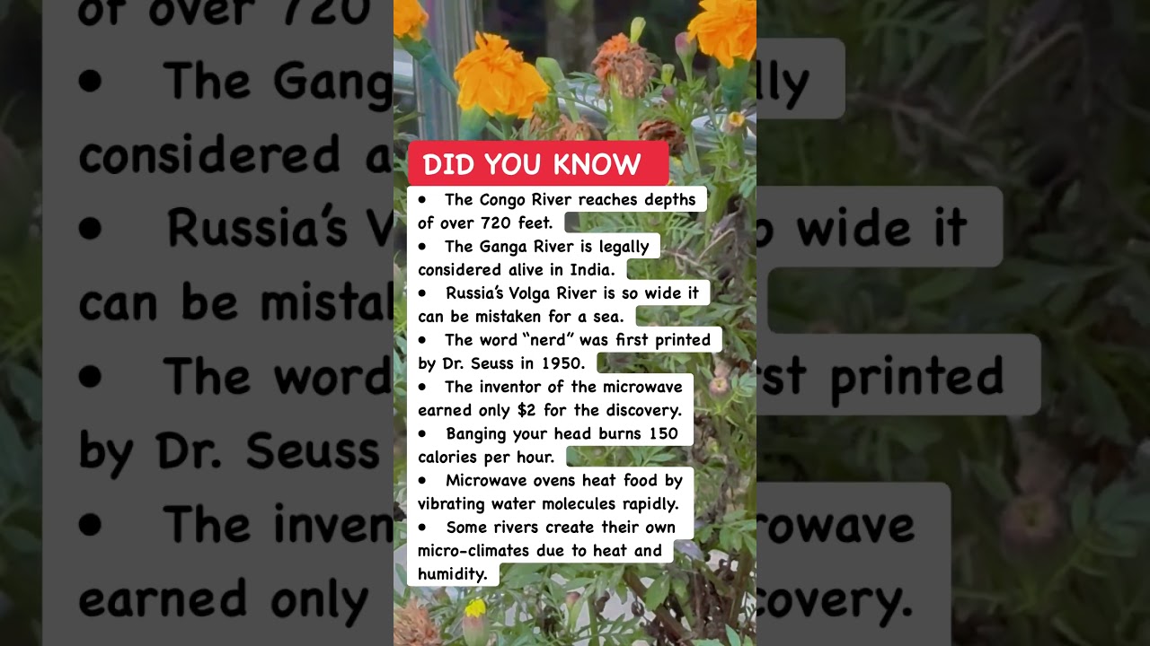 🌊 Deep Mysteries of the Congo River 🌍