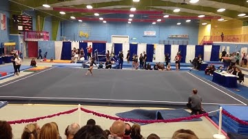 Switch leap switch leap split 1 1/2 to a wolf full