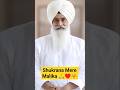 Radha Soami Baba ji 🙏🙏♥️♥️# Baba ji #dera beas # rssb shorts # Hujur ji #@SimranbhatlaBhatla