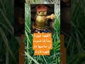 القهوه غيورة جدا إذا شعرت أن صاحبها دار ظهره فارت اكسبلور الله لايك ترند 100k القهوه غيورة جدا إذا شعرت أن صاحبها دار ظهره فارت اكسبلور الله لايك ترند 100k