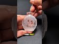 This Artwork Was Painted Inside a Tiny Bottle