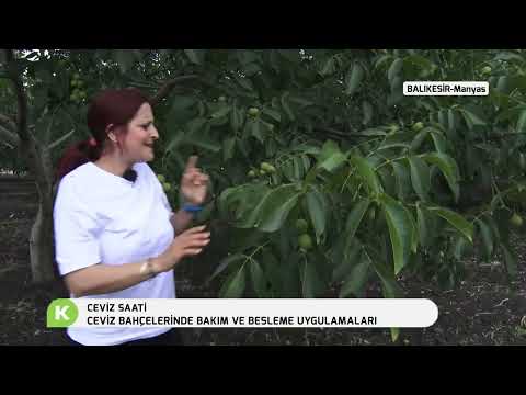 Video: Bölgesel Bahçe İşleri: Aralık Ayında Bahçe İşleri İçin Kontrol Listesi