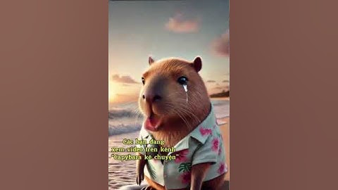 Capybara khóc vì bị kiến cắn bên bờ biển