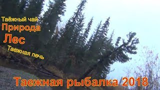 Таежная рыбалка 2018 лес природа охота тайга хариус Кедр Поход Костер Лекарственные растения таежный Таежная рыбалка 2018 лес природа охота тайга хариус Кедр Поход Костер Лекарственные растения таежный