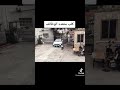كلب متعدد الوظائف 2022       2022