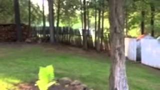 IMG 0617