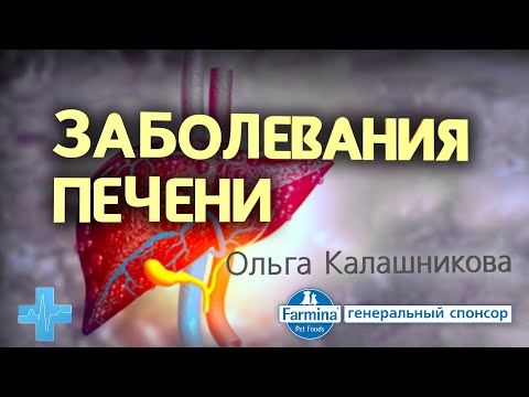 Заболевания печени