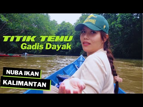 Gadis Dayak Kalimantan ikut Nuba Ikan di Sungai Hutan  - Kalimantan forest