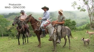 Finca Ganadera, Famlia Bermúdez Montero, Integración ...