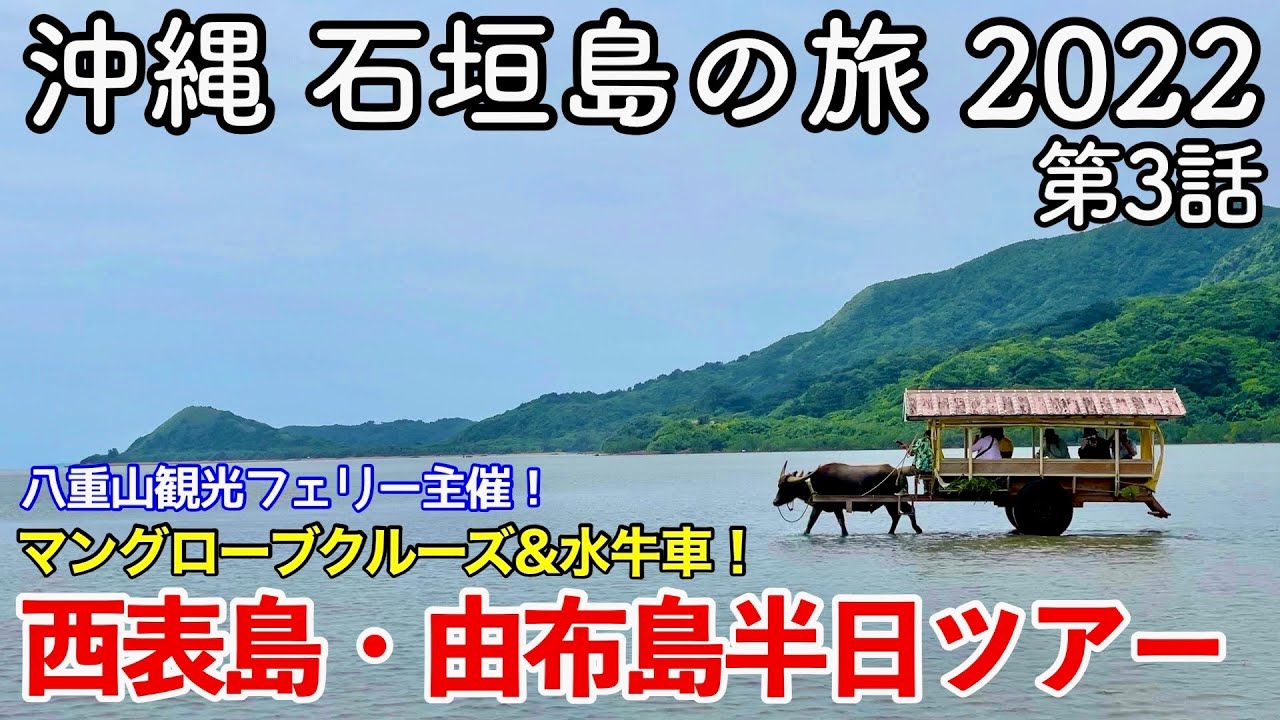 【沖縄旅行】沖縄 石垣島の旅 2022 第3話 〜西表島・由布島半日ツアー〜 【八重山観光フェリー主催！仲間川マングローブクルーズ&水牛車で行く由布島】