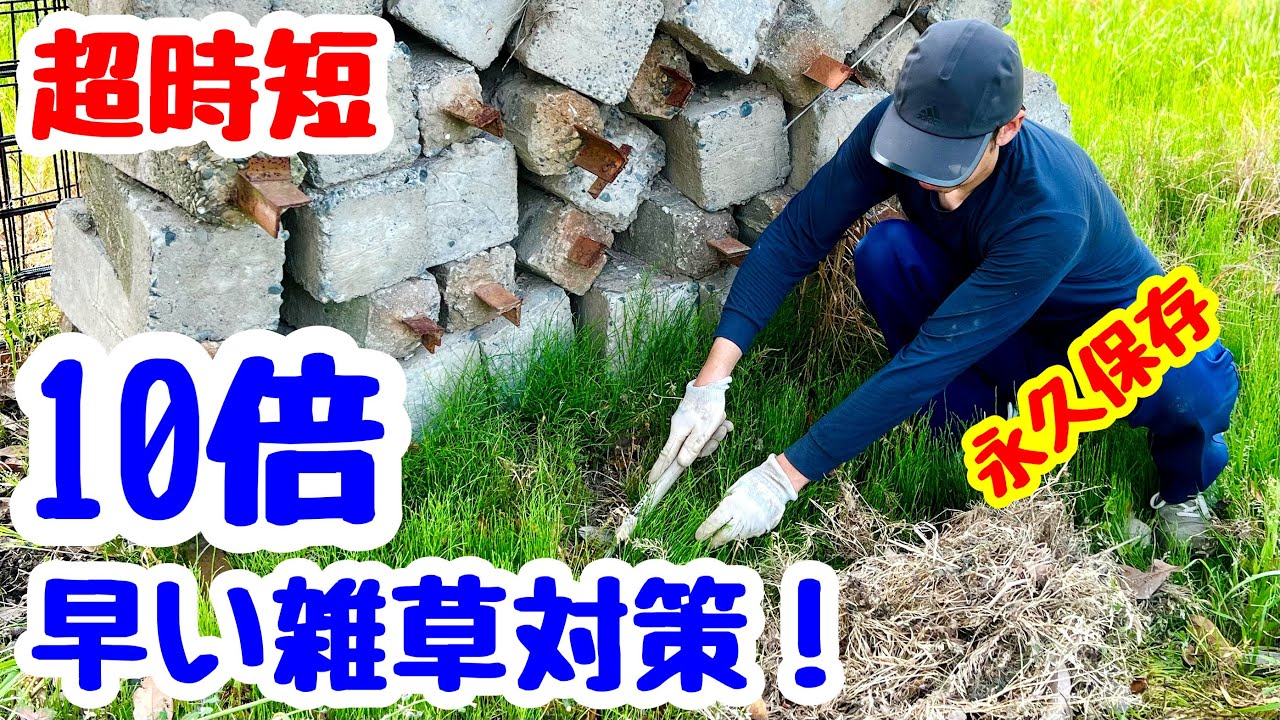 ◆厄介な雑草ぜんぶ退治！【スギナ・ドクダミ】