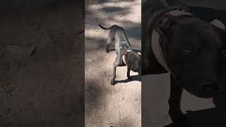 Starting Out The Right Way