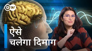 Sehat Talk with Isha Bhatia Sanan, Ep. 18: Which is the best superfood for brain?