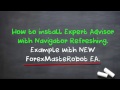Forex Megaliner Robot Review