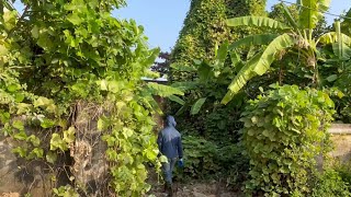 BEST TRANSFORMATION of overgrown garden in front of school Clean up scary abandoned lecture hall by Cleanup Overgrown 365,535 views 5 months ago 1 hour, 28 minutes