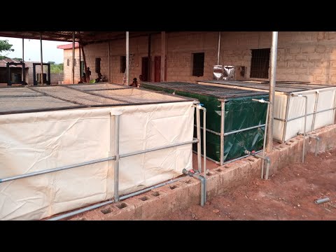 10,000 CAPACITY UK BASED MULTIPURPOSE FARM, IN NIGERIA