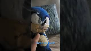 Sonic Sez Thats No Good