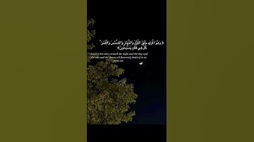 #سورة_الأنبياء #استغفر_الله #المصحف #آيات_القرآن #لايك #الرحمن #اكسبلور #تيك_توك #العظماء #ترند #fyp