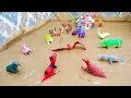 Muddy Dinosaur Toys Getting Washed 🦖 | Tyrannosaurus Triceratops Pteranodon Megalosaurus