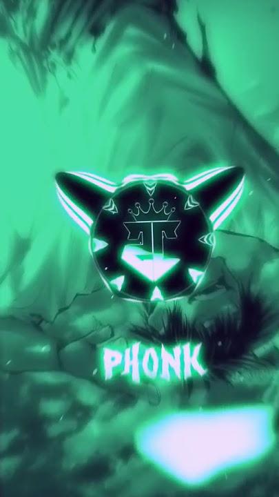 WTF 2 SLOWED #music #phonkmusic #bassmusic #bass #phonky #phonk #phonkgee #musicgenre #bassboosted