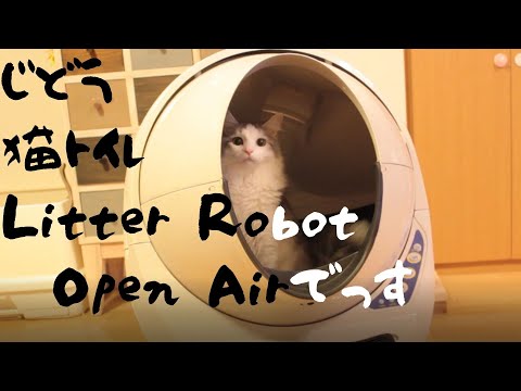 Automatic cat litter box 自動猫トイレ Litter Robot Open Airを購入
