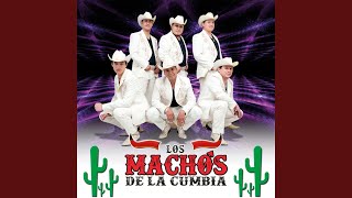 Video thumbnail of "Los Machos de la Cumbia - Soy el Mismo"