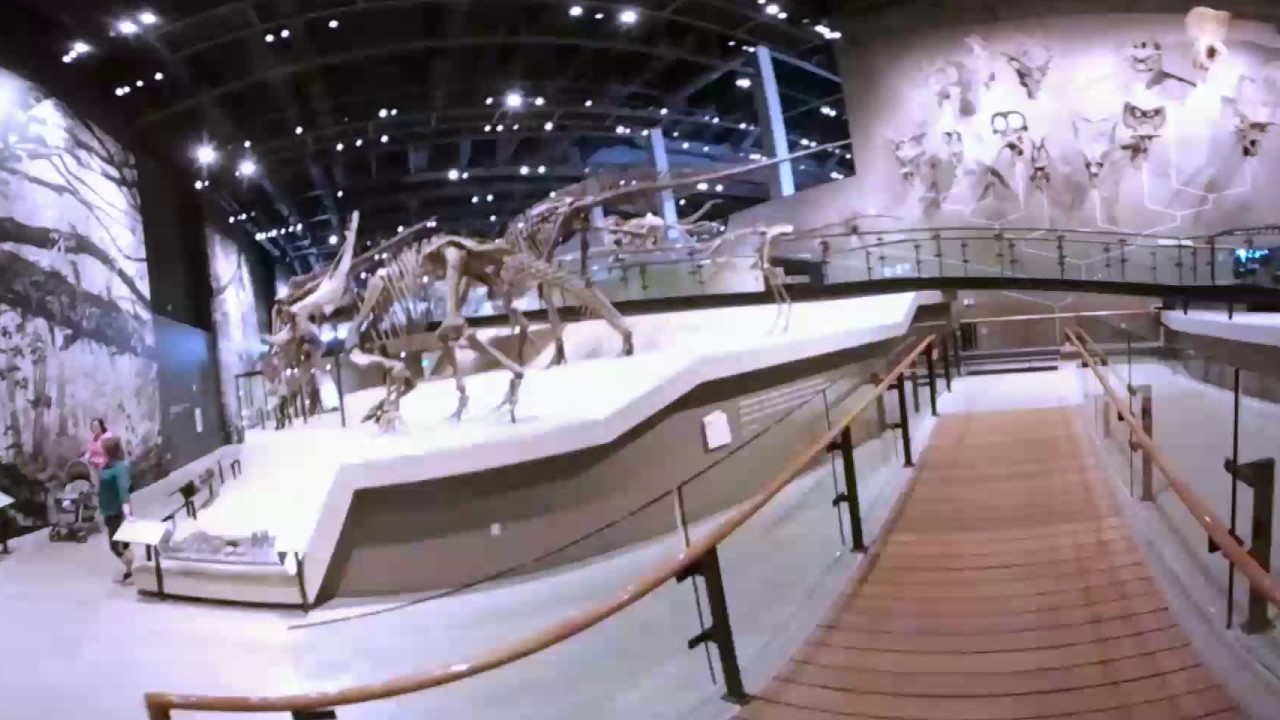 Natural History Museum of Utah YouTube