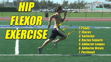 Hip Flexor Exercises. Great for Speed! aka Thigh Flexors.