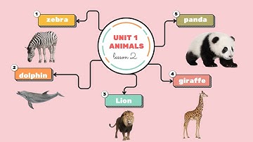 Tiếng Anh 4 - English 4 - Smart Start - Unit 1 : Animals - Lesson 2