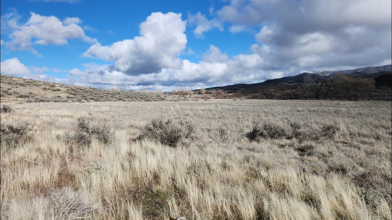Историческое место резни в Маунтин-Медоуз (Особая прогулка с Вудсайдом)