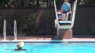 Jack's First Dive
