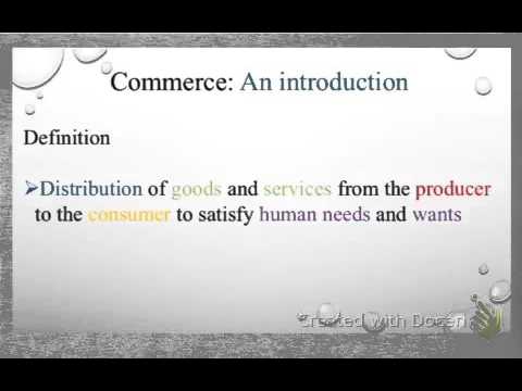 O Level Commerce Zimsec