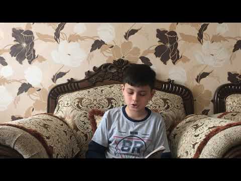 Читаем книгу профессора Бориса Увайдова "Победа над раком"