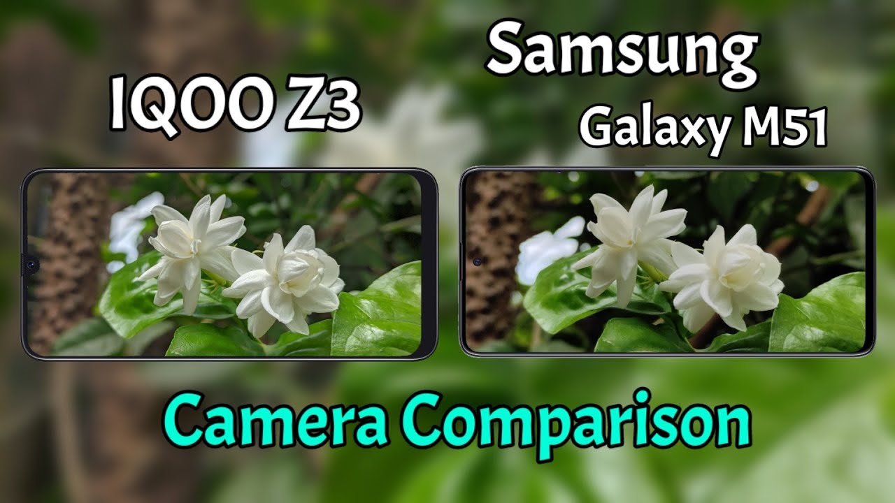 IQOO Z3 VS Samsung Galaxy M51 Camera Comparison