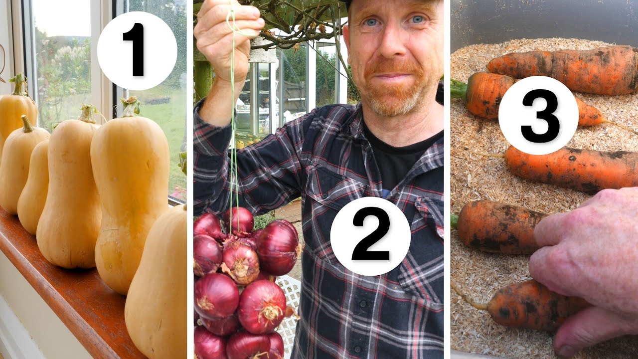 3 ПРОСТЫХ способа хранения овощей зимой