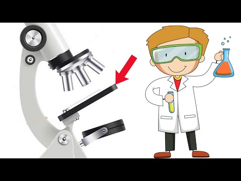 Video: ¿Qué parte del microscopio usaste para mover la muestra?