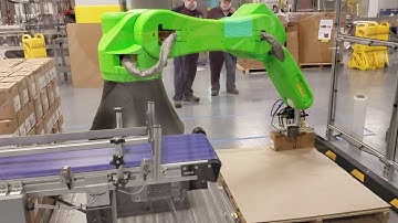 Palletizing Collaborative Robot System