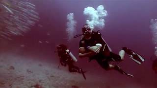 www.franceplongee.com sail rock 2019 Thailand koh Samui