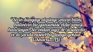 Yasaklarda - Cevdet Bağca