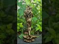 #afrodite https://s.shopee.com.br/6VIdhVvoFv