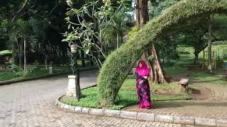 Download lagu Cover Lukisan kecemasan Lusiana Safara